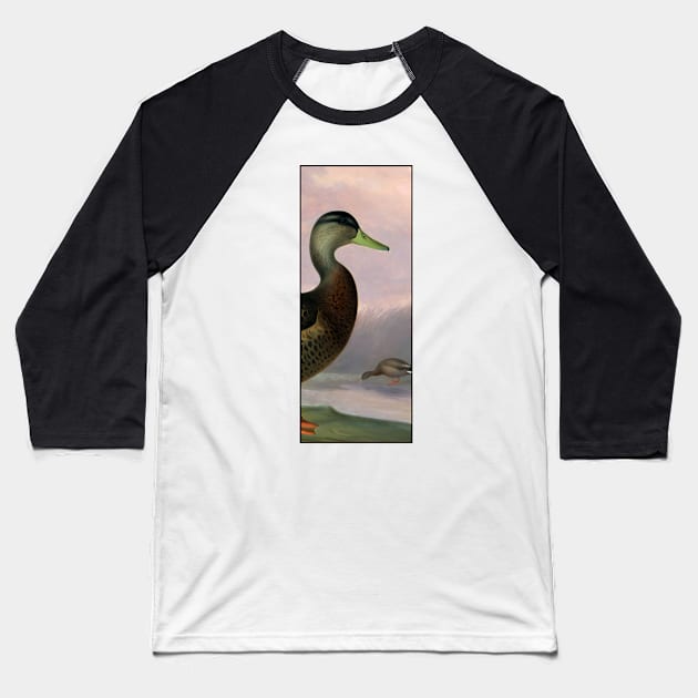 Anas platyrhynchos by Ferdinand von Wright Baseball T-Shirt by academic-art